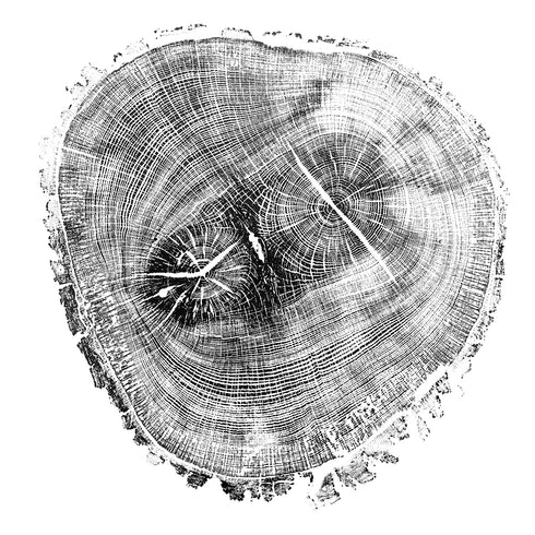 "Oak 122" Tree Print - Woodcut Print